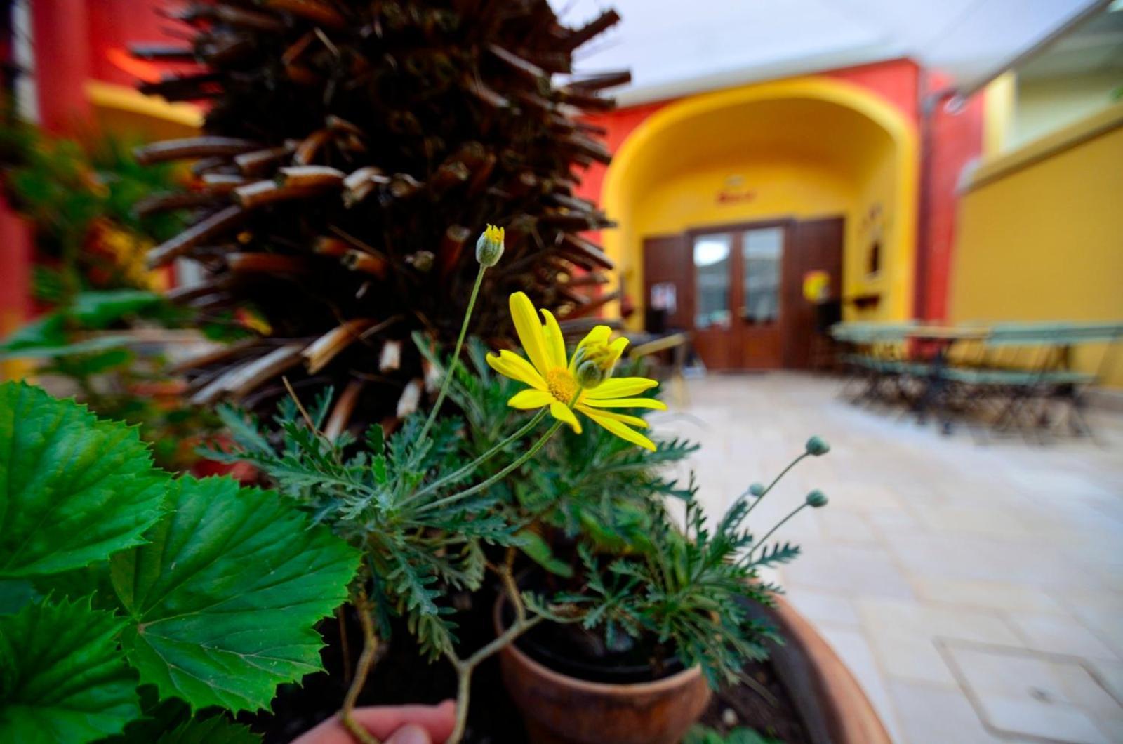 Manouche Affittacamere Osteria Caserta Exterior foto